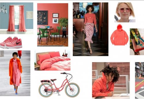 De kleur van het jaar 2019 Living Coral