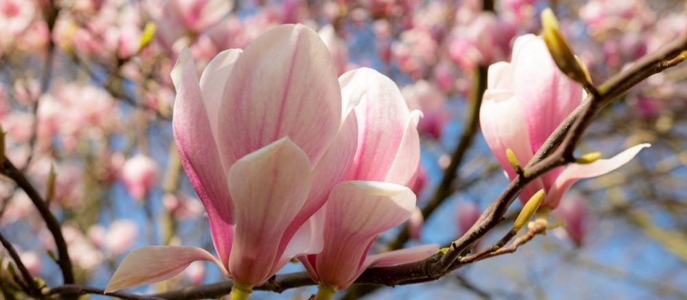 Lente in je kledingkast? Begin eerst hiermee.