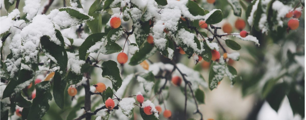 Ben jij misschien een wintertype? Wie van de drie?